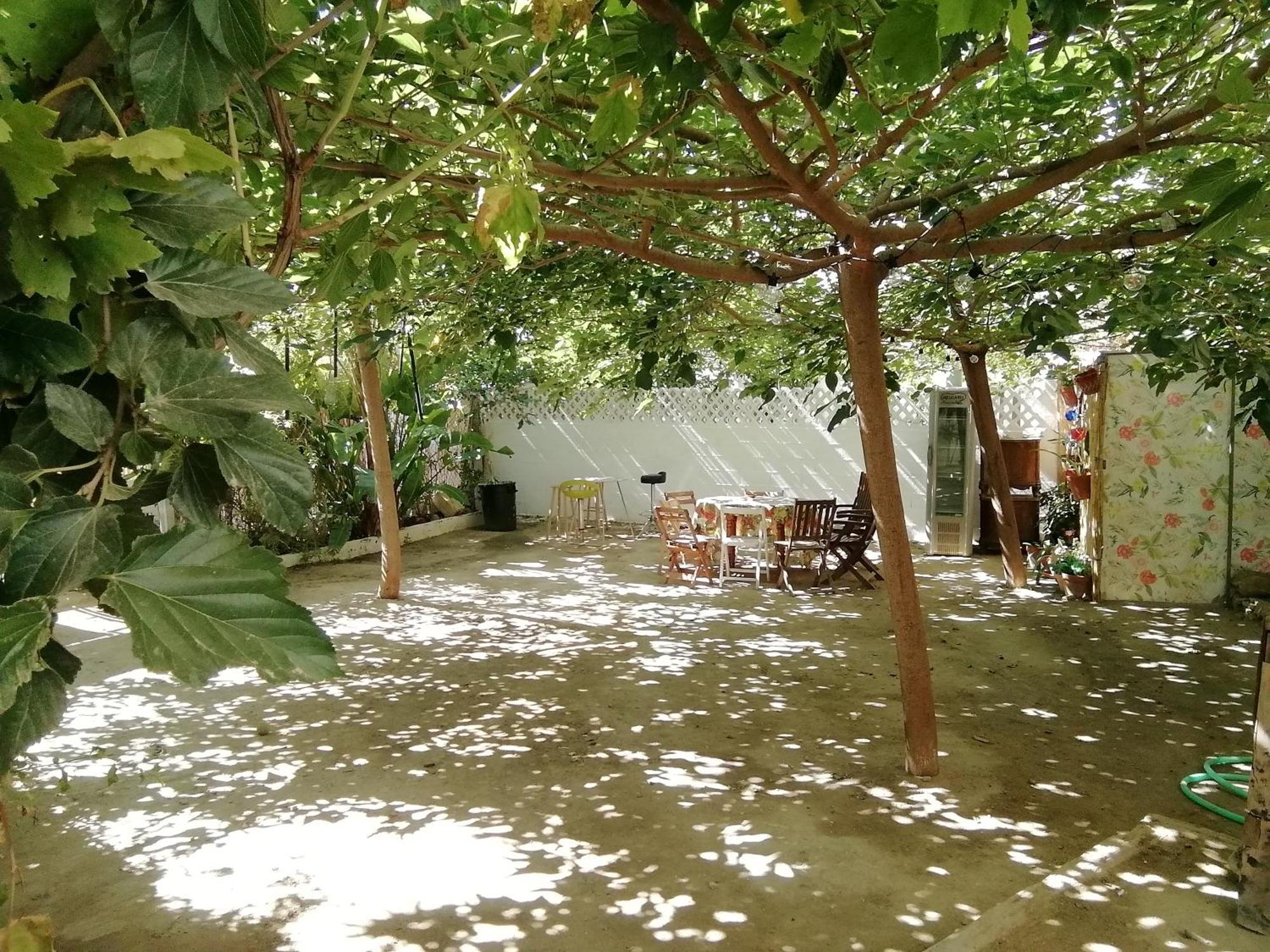 Surf House Playa Hotel Conil De La Frontera Bagian luar foto